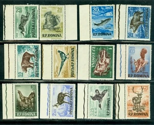 1956 Wild Animal,Squirrel,Lynx,Bear,Duck,Chamois,Boar,Romania,1565,CV$200,SM/MNH - Picture 1 of 2