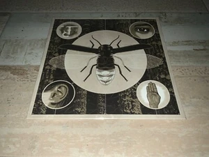 Jerry Cantrell BRIGHTEN LTD BONE GOLD SPLATTER VINYL LP 2022 Alice In Chains NEW - Picture 1 of 5