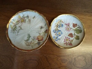 LOT 2 1880s BLUSH IVORY ROYAL WORCESTER BOTANICAL FLORAL PLATES - Picture 1 of 5