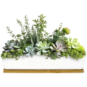 Ceramic Succulent Pots - 1 Pot - Long Rectangle - with Bamboo Tray - White - 11" - Picture 1 of 9