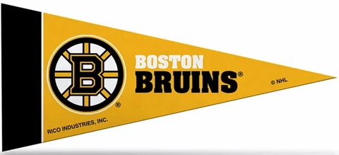 Boston Bruins Mini Pennants, 4" x 9" - Licensed by Rico - Made In USA Cover