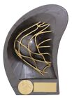  FOOTBALL AWARD in 3 sizes With Engraving Of 45 Letters PRS7136XASG SDL