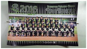 2016 SCRANTON WILKES BARRE RAILRIDERS CHAMPS POSTER (AAA YANKEES) AARON JUDICE * - Foto 1 di 1