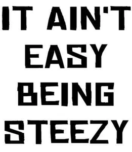 Steezy Mountain Bike Decal Sticker for DH Trail slopestyle freeride - Picture 1 of 2
