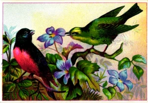 Antico biglietto da visita vittoriano 1876 con uccellini e fiori - litografia vibrante - Foto 1 di 2