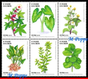 24-03 BRAZIL 2024 UNCONVENTIONAL FOOD PLANTS, PANC, FLOWERS, SET MNH - Picture 1 of 2