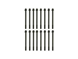 For 1998-2005 Honda Accord Head Bolt Set 62123TRXM 2000 1999 2001 2002 2003 2004 - Picture 1 of 2