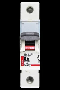 TENBY 6 AMP CURVE B 10kA MCB CIRCUIT BREAKER B106 - Picture 1 of 6