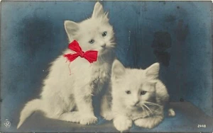c1910 Beady eye cats White kittens red bow interior Postcard 25-1613 - Picture 1 of 2