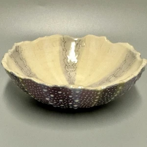 Sea Urchin Bowl Studio Art Pottery Signed Artifacts In Clay Chester Nova Scotia - Picture 1 of 14