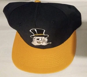Vintage - Wake Forest Demon Deacons - Black Hat 🧢 By Universal Logo 7 NWT - Picture 1 of 6