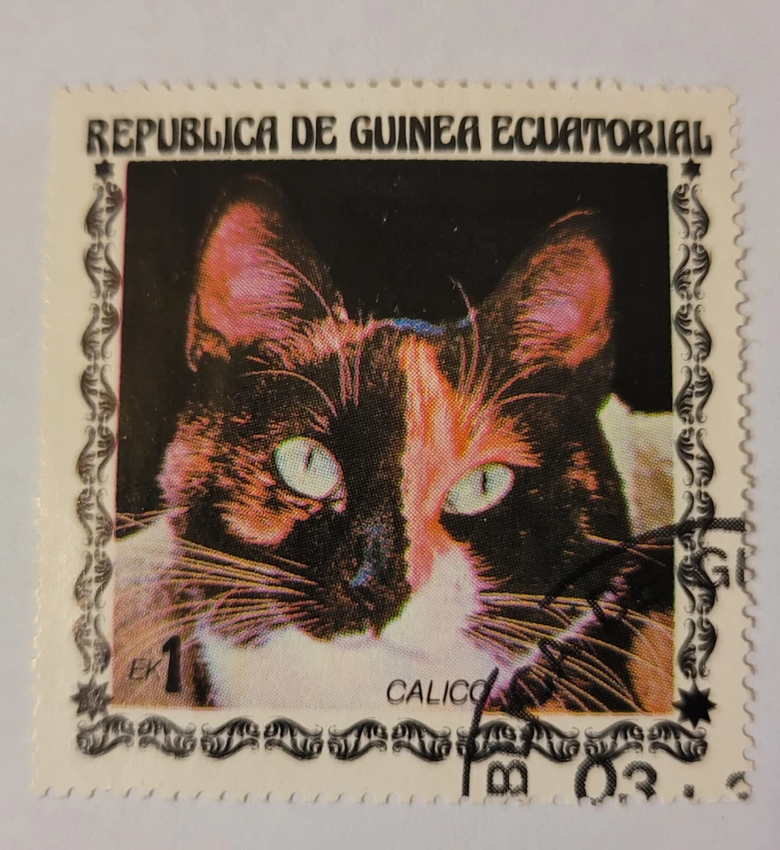 SELLO ECUATORIAL DE LA REPÚBLICA DE GUINEA 1978; GATO CAPARAZÓN DE TORTUGA; RARO NH Foto 1 de 3