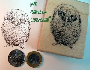 P83 Owlet, baby owl rubber stamp  - Bild 1 von 2