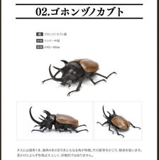Dango Mushi Beetle Model Kit Vol 2 Bandai Figure Dynastes Hercules Lichyi Black