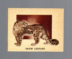 Animals of the World Card # 169 - TOPPS (1951) - Snow Leopard - Picture 1 of 2