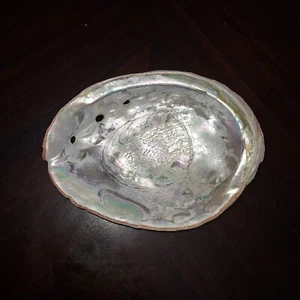 Albalone Shell Medium Size - Picture 1 of 11