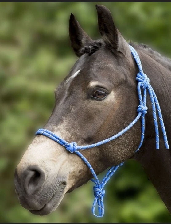Horse Rope Collar - Image 1 of 1