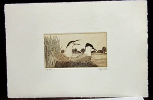 Original Radierungen Margit Ewert - Jahr 1981 - 2 Vögel   nummer-/175 - Bild 1 von 6