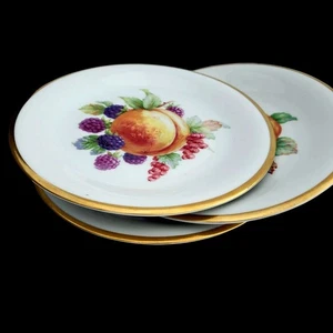 Vintage Fruit Plates Set of 3 Schwarzenhammer Germany Porcelain 7.5" Bavaria - Picture 1 of 13