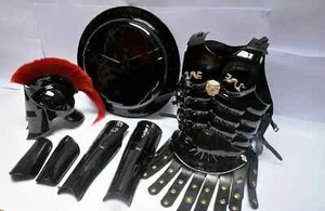 Medieval King 300 Spartan Helmet with Muscle Armor Jacket, Arm & Shield Costume - Picture 1 of 2