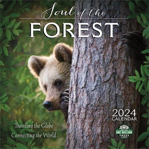 The Soul of the Forest 2024 Wall Calendar: Traveling the Globe, Connecting the W - Picture 1 of 6