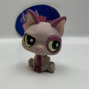 BULLDOG DOG #1757 - Authentic Littlest Pet Shop - Hasbro LPS - Picture 1 of 4