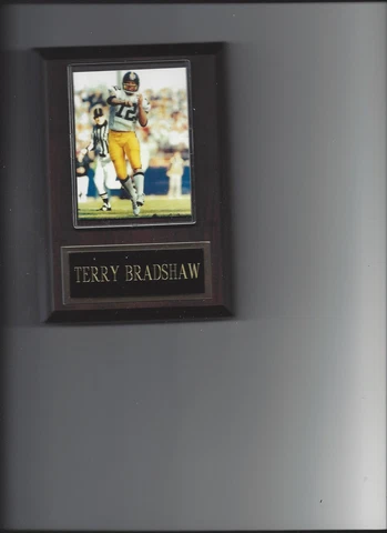 TERRY BRADSHAW PLAQUE PITTSBURGH STEELERS FOOTBALL NFL Cover