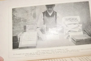 L'Escargot-Elevage & Parcage Lucratifs,BOISSEAU,1911,ILLUSTRE - Foto 1 di 1