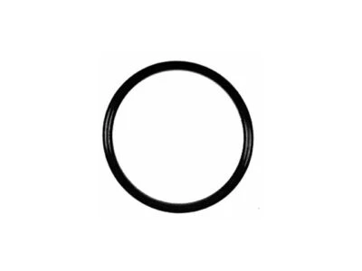 For 1974-1981 Volkswagen Dasher Thermostat Gasket 64283JYSS 1975 1976 1977 1978 - Image 1 of 2