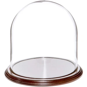 Plymor 8" x 8" Glass Display Dome Cloche (Dark Mahogany Veneer Base) - Picture 1 of 1