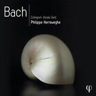 Bach, J.S. / Herreweghe / Collegium Vocale Gent - Bach [Neue CD] Boxset