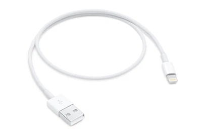 Apple - Câble Lightning vers USB 0,5 m, câble de charge iPhone iPad, câble... - Photo 1/4