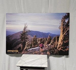 Póster de exhibición vintage de tienda de cartón Patagonia - Imagen 1 de 11