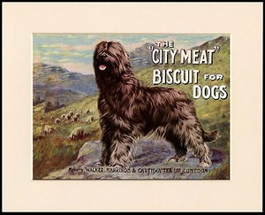 BRIARD GREAT DOG FOOD ADVERT PRINT MOUNTED READY TO FRAME - Afbeelding 1 van 1