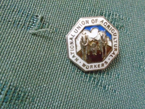 National Agricultural Workers Silver Badge Hindolveston Norfolk - Bro W HOWARD - Picture 1 of 2