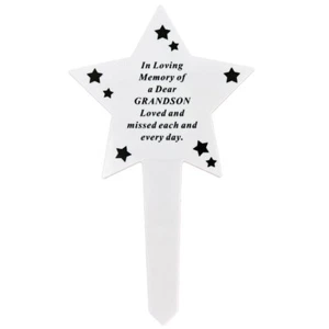 Shining Star Special Grandson Memorial Baby Child Remembrance Grave Stake Plaque - Picture 1 of 1