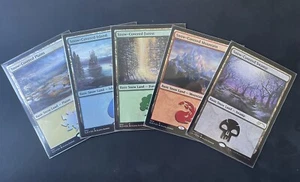 MTG Eldraine Wonderland Snow Foil Covered Lands Secret Lair - Bild 1 von 1