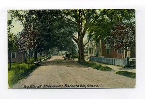 Postal Barnstable MA Mass 1912 Street View, Big Elm at Sherman's Kindly People - Imagen 1 de 2