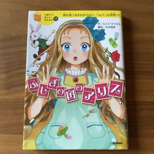 Alice In Wonderland Book by Lewis Carroll Yoko Yokoyama Mutsumi Ishii - Picture 1 of 2