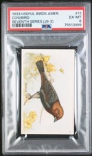 1933 Church & Dwight Useful Birds America J9-3 Cowbird #11 PSA 6 EX-MT