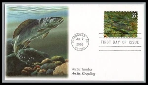 US FDC # 3802i 37c Artic Tundra Fleetwood Grayling  2003, 9p3527 - Picture 1 of 1