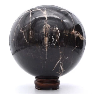 10.4kg Petrified Fossil Wood Sphere 21 cm Inc Stand Natural Gemstone Mineral AAA - Picture 1 of 5