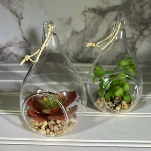 Due (2) piccoli terrari globo da appendere finti succulenti a forma di lacrima - Foto 1 di 12