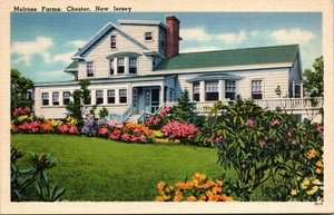 Vtg Chester New Jersey NJ Melrose Farms 1940s Linen Postcard - Bild 1 von 2