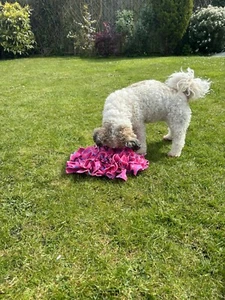 Dog Snuffle Mat Sniffing Treat Foraging Dispenser Mats Puzzle Slow Feeder Toy - Picture 1 of 8