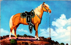 Vintage Petley Postcard-Palomino Stallion With Silver Saddle And Bridle Unposted - Picture 1 of 2