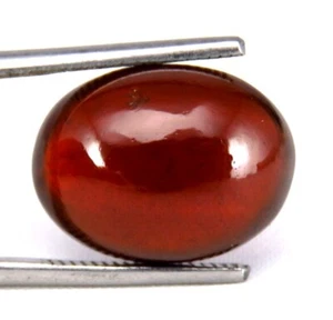 SHOLA Echt 11,50 Ct Natürlicher Hessonit Granat aus Ceylon, Hessonite - Bild 1 von 1