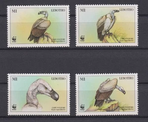 E1264 - Lesotho 1998 - MNH - Vogels / Birds  (WWF/WNF) - Picture 1 of 1