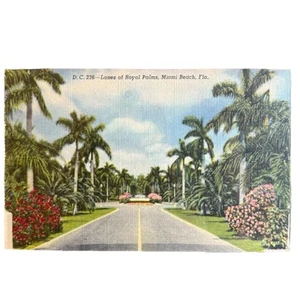 Postal de lino vintage Miami Beach Florida Royal Palms Street View Palmeras - Imagen 1 de 2