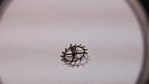 Jaeger-Le Coultre 467 ESCAPE WHEEL Part #705, Pre-Owned, watch parts Genuine - Picture 1 of 2